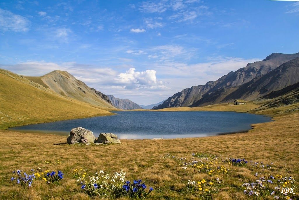 Bergsee in Georgien mit wildblühenden Blumen, Felsen und umliegenden Bergen an einem sonnigen Tag