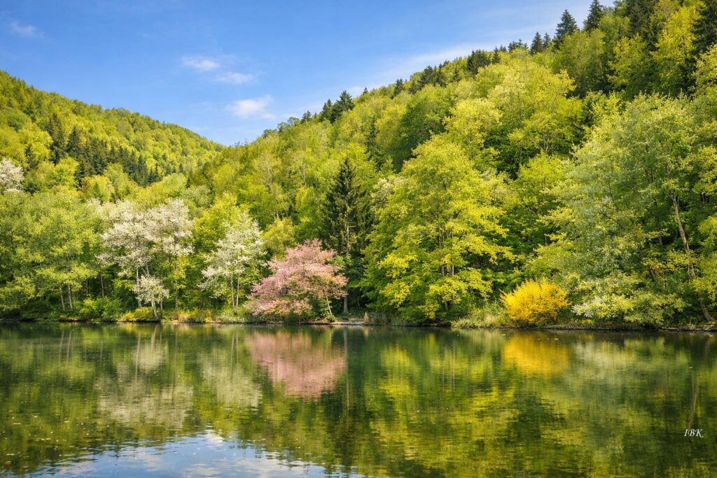 Bateti‑See in Georgien, umgeben von bewaldeten Hügeln im Frühling.